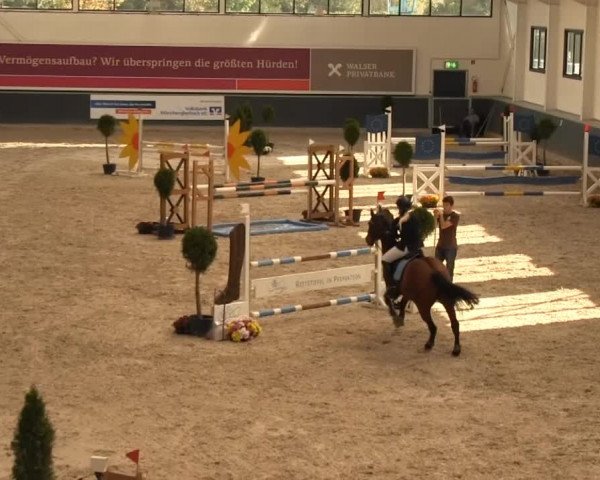 Springturnier auf dem Abtshof 2013