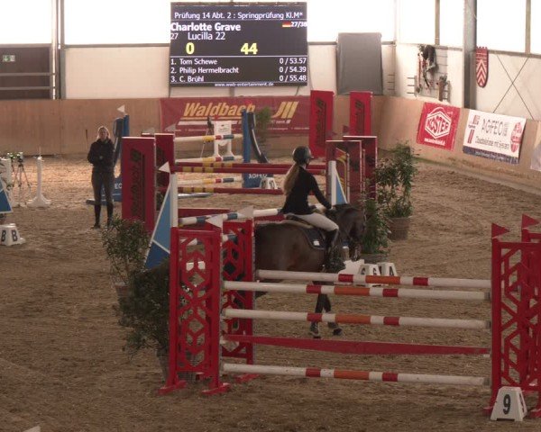 Reitturnier Westbarthausen 2025