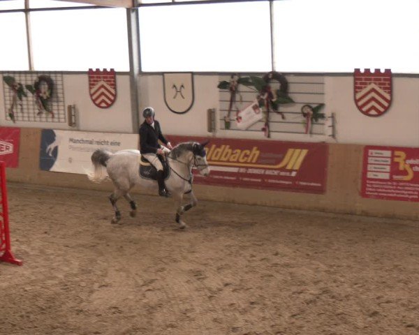 Reitturnier Westbarthausen 2025