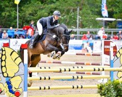 jumper Sam 1192 (German Sport Horse, 2017, from Stolzenberg)