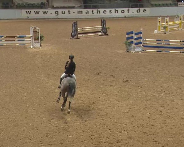 Reitturnier Kreuth 2025