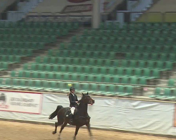 Reitturnier Kreuth 2025