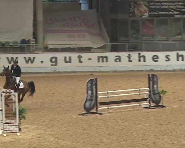 Reitturnier Kreuth 2025