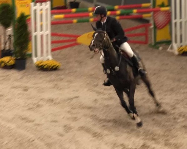 Springturnier auf dem Abtshof 2013