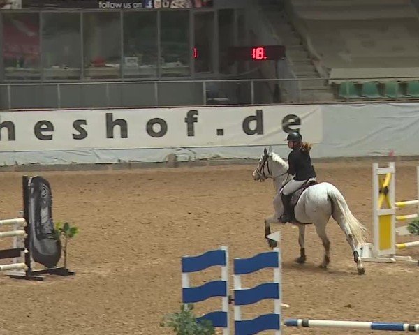Reitturnier Kreuth 2025