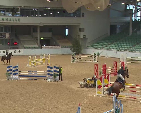 Reitturnier Kreuth 2025