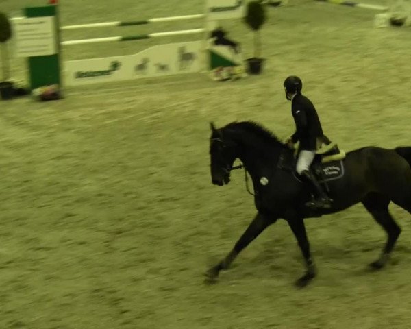 Reitturnier Mönchengladbach-Abtshof 2013