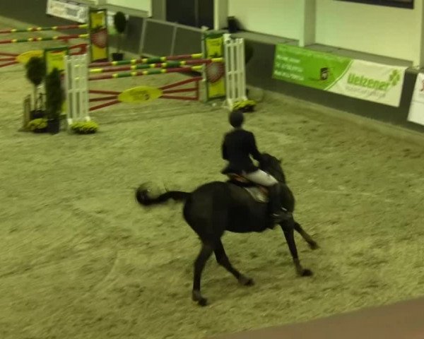 Springturnier auf dem Abtshof 2013