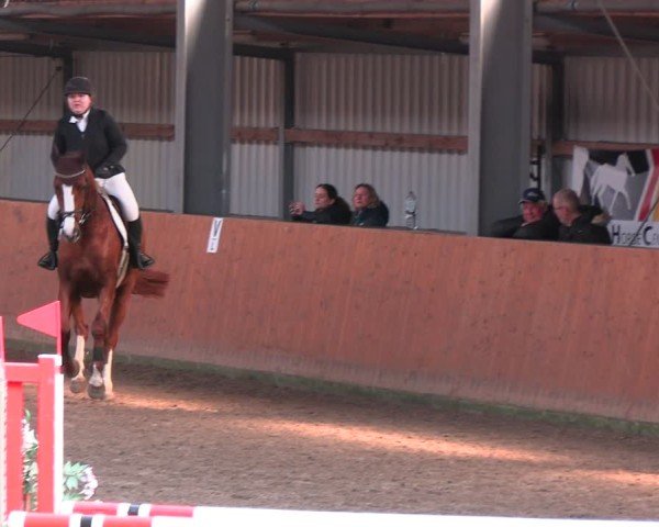 Reitturnier Schlieckau 2025