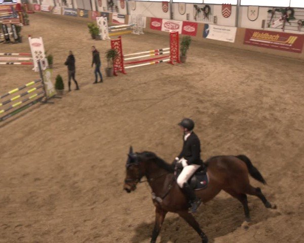 Reitturnier Westbarthausen 2025