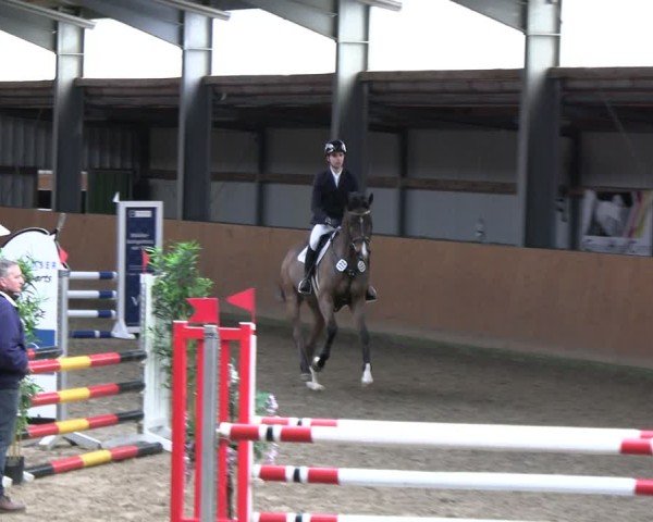 Reitturnier Schlieckau 2025