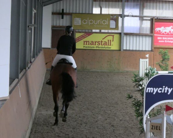 Reitturnier Schlieckau 2025