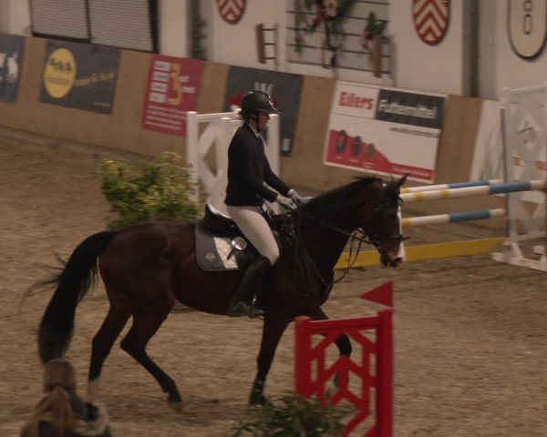 Reitturnier Westbarthausen 2025