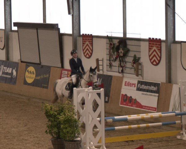 Reitturnier Westbarthausen 2025