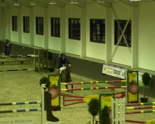 Springturnier auf dem Abtshof 2013