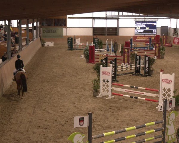 Reitturnier Westbarthausen 2025