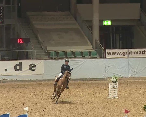 Reitturnier Kreuth 2025