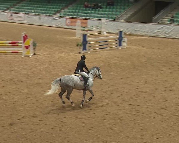 Reitturnier Kreuth 2025