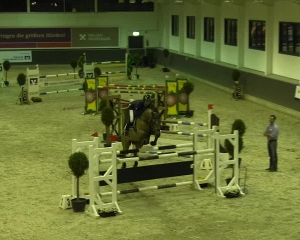 Reitturnier Mönchengladbach-Abtshof 2013