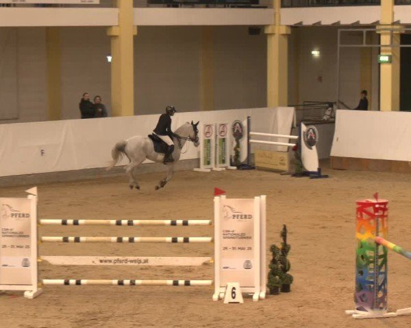 Reitturnier Stadl-Paura 2025