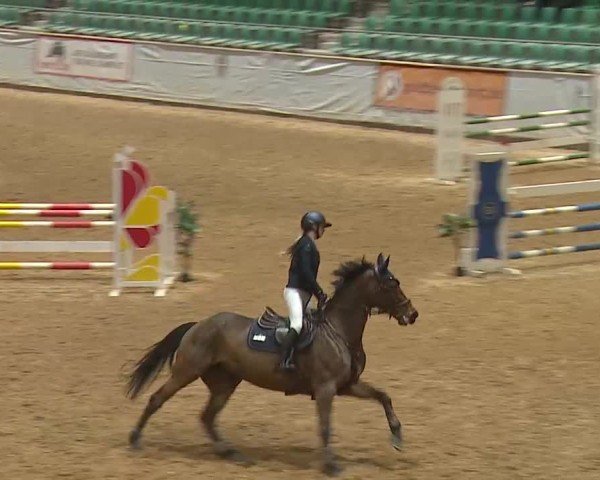 Reitturnier Kreuth 2025