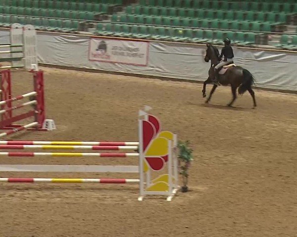 Reitturnier Kreuth 2025