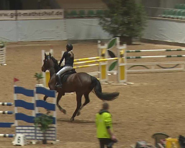 Reitturnier Kreuth 2025