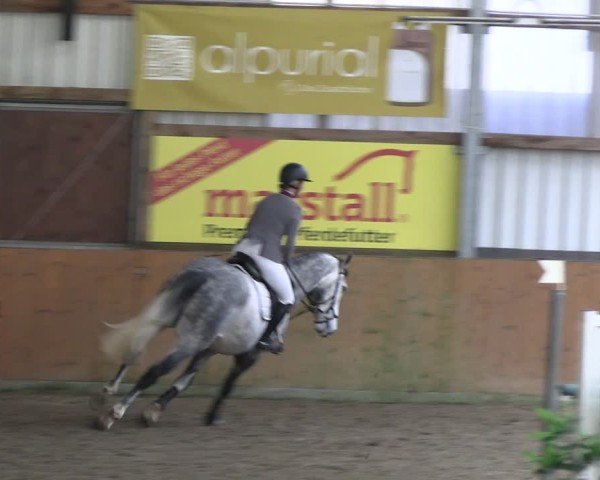 Reitturnier Schlieckau 2025