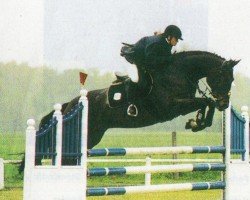 jumper Disney 46 (Brandenburg, 1995, from Drosselbart)