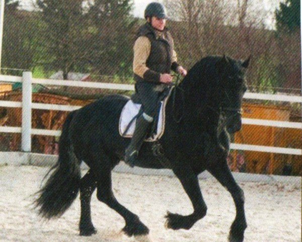 horse Yerke van de Wiske Hoeve (Friese, 2007, from Doaitsen 420)