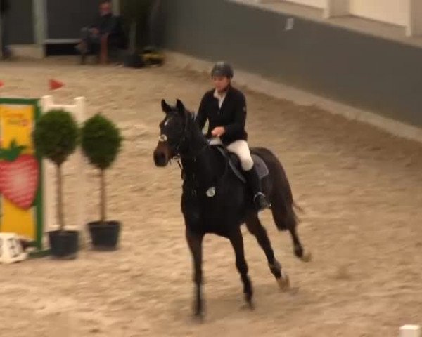 Springturnier auf dem Abtshof 2013