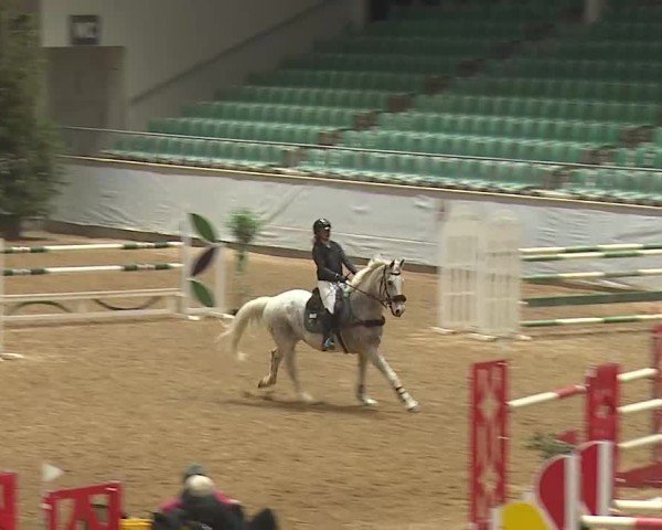 Reitturnier Kreuth 2025