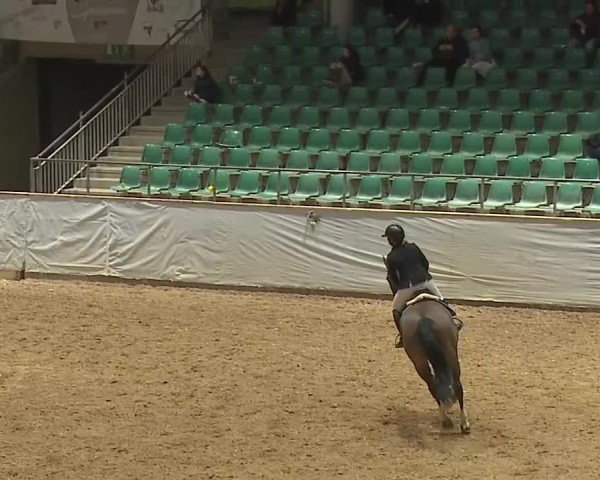 Reitturnier Kreuth 2025