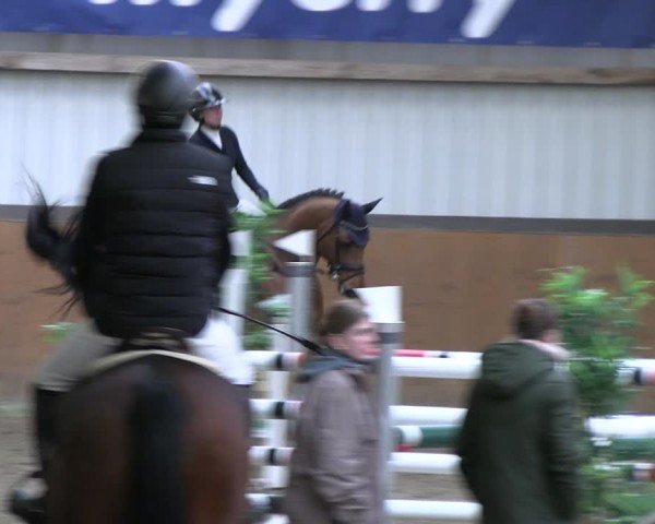 Reitturnier Schlieckau 2025