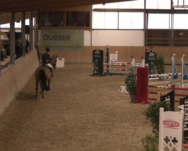 Reitturnier Westbarthausen 2025