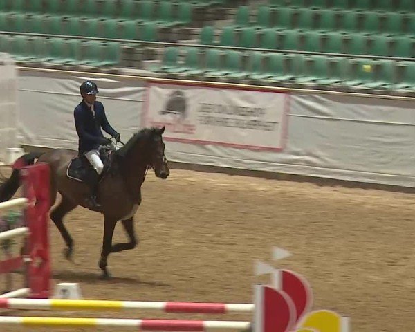 Reitturnier Kreuth 2025