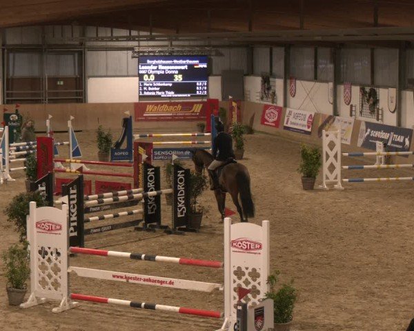 Reitturnier Westbarthausen 2025