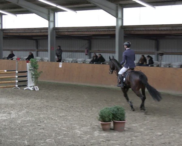 Reitturnier Schlieckau 2025