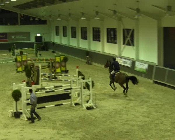 Springturnier auf dem Abtshof 2013