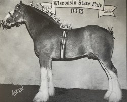 stallion Green Leaf Prestige (Clydesdale, 1996, from Ayton Perfection)
