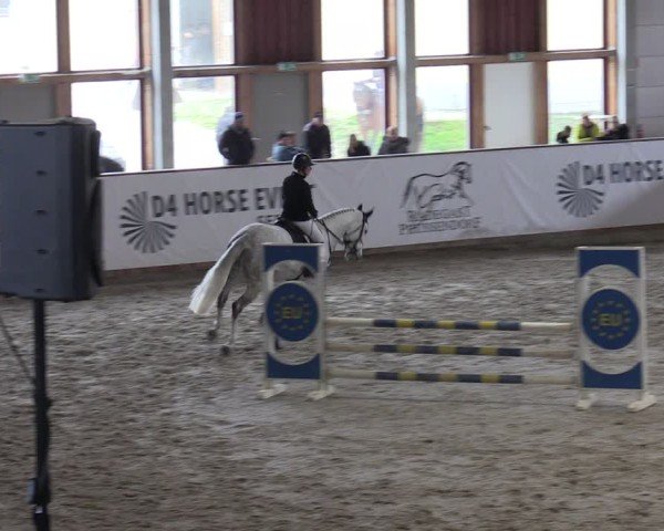 Reitturnier Prussendorf 2025