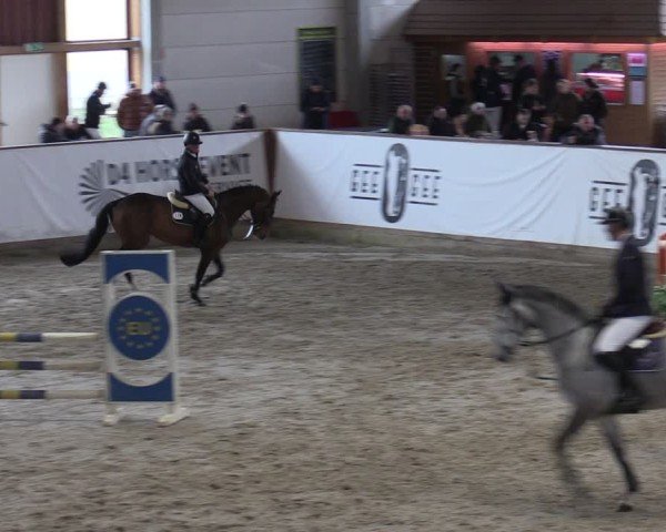 Reitturnier Prussendorf 2025