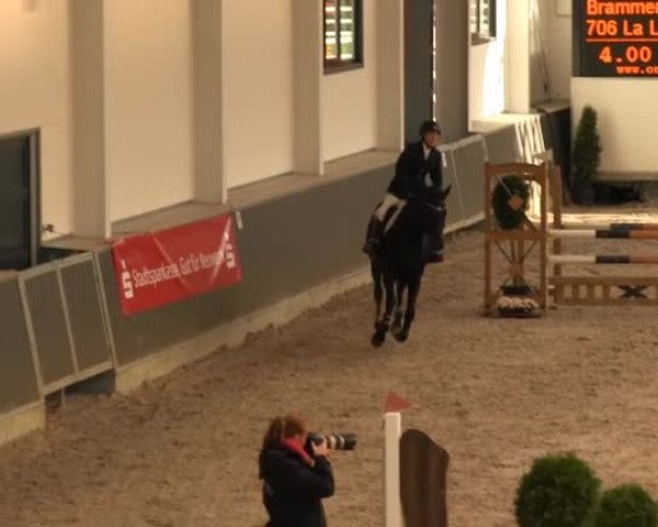 Springturnier auf dem Abtshof 2013