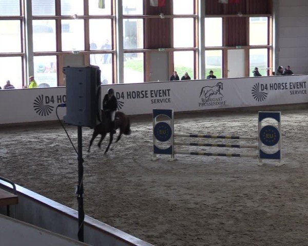 Reitturnier Prussendorf 2025