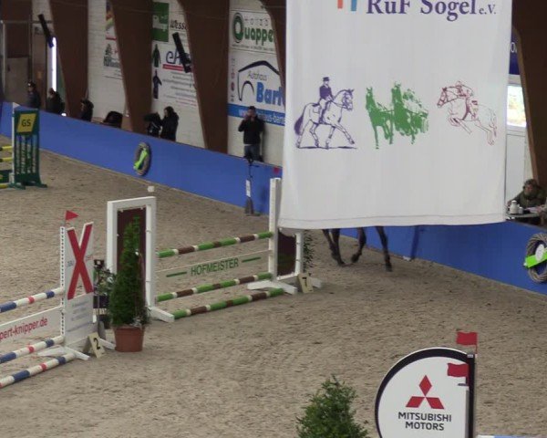 Reitturnier Sögel 2025