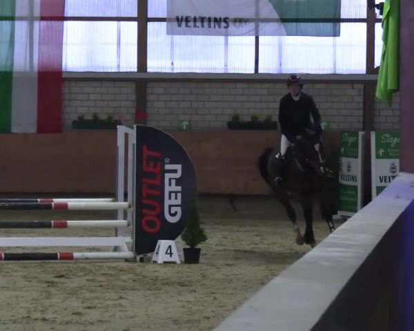 Reitturnier Hellefeld 2013