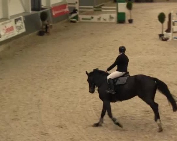 Springturnier auf dem Abtshof 2013