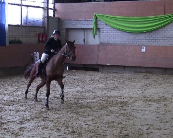 Reitturnier Hellefeld 2025