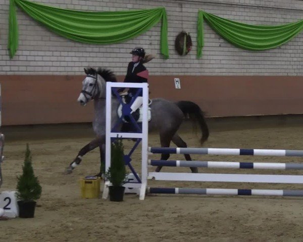 Reitturnier Hellefeld 2025