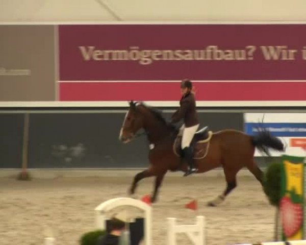 Springturnier auf dem Abtshof 2013